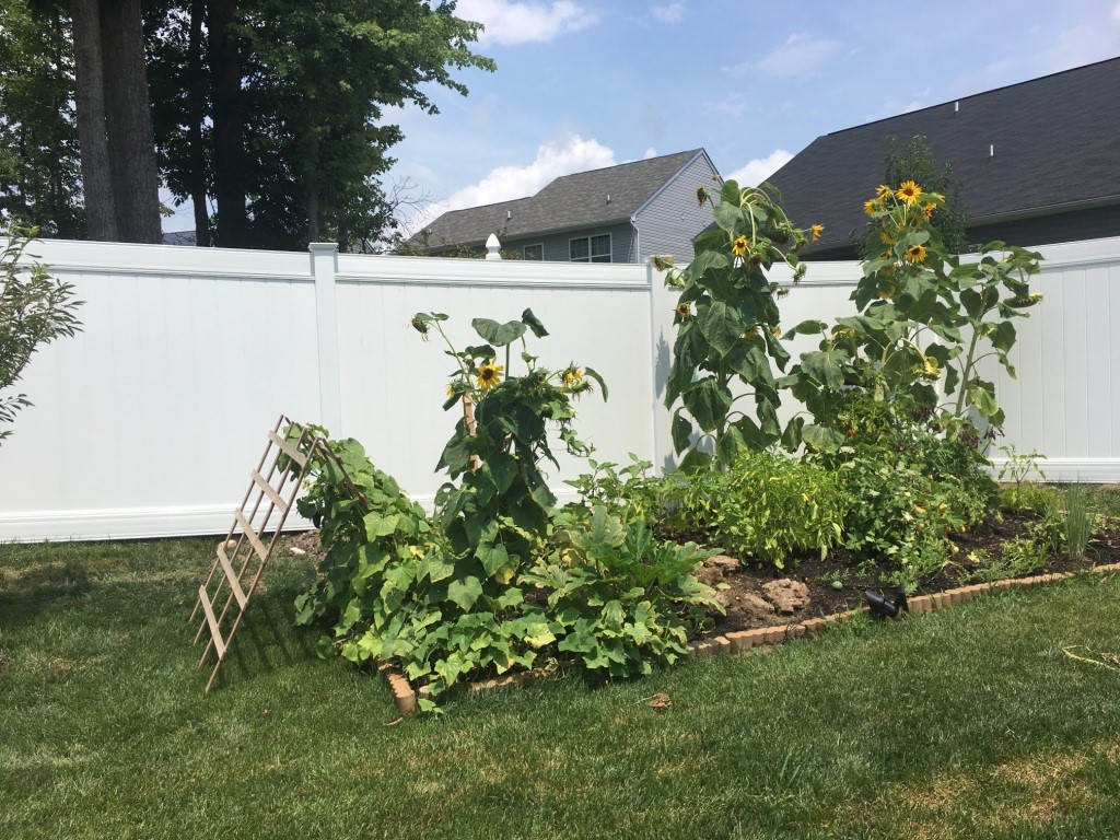 cambridge-fence-vinyl-fencing