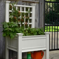 kingsrow-raised-planter-trellis